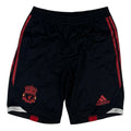 Liverpool Shorts