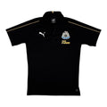 New Castle Polo